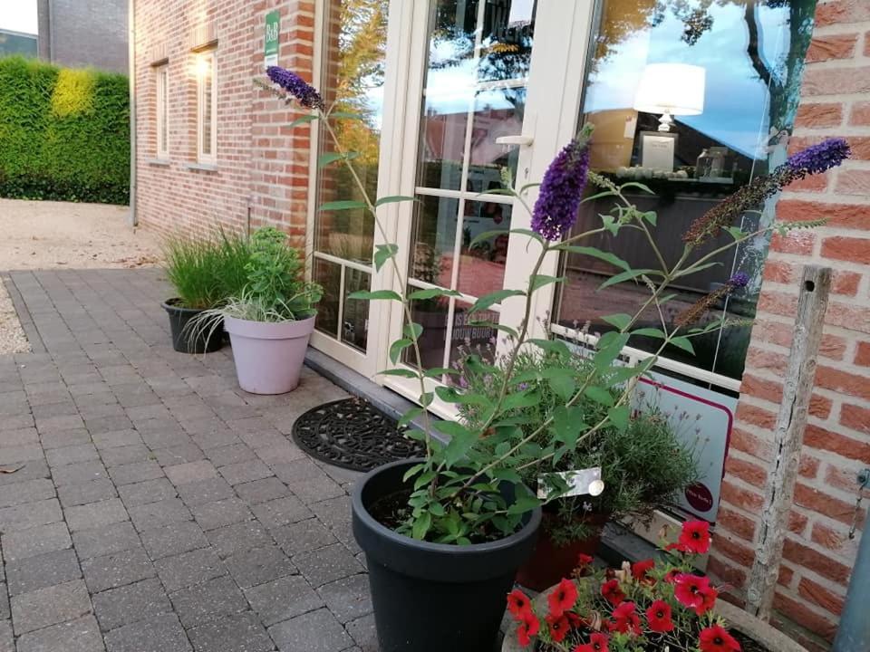 Luxe Wellness B&B Tim Torfs ***** Beringen Esterno foto